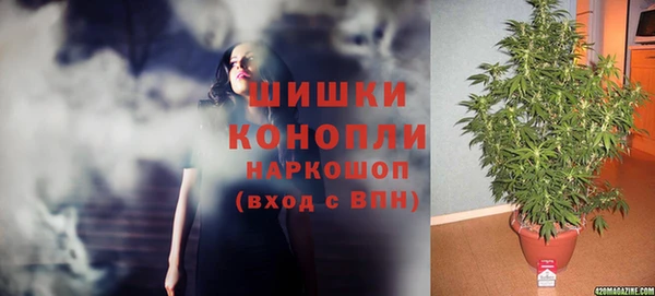 кокс Аркадак