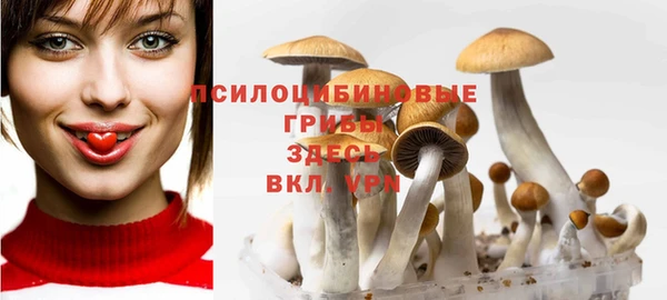 PSILOCYBIN Армянск
