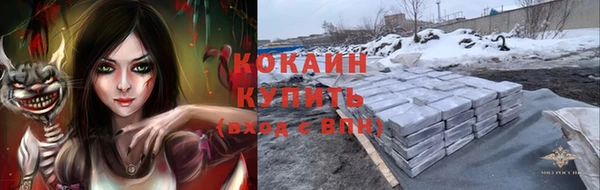 кокс Аркадак