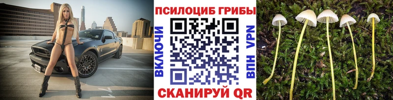 Псилоцибиновые грибы MAGIC MUSHROOMS магазин продажи Лихославль